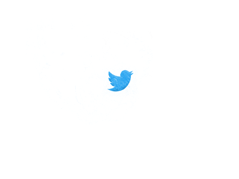 Twitter bird animated logo