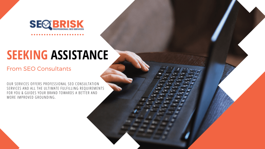 SEO Brisk - Blog cover