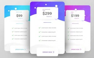 A variety of pricing options displayed on a pricing tables template. Choose your pricing plan.