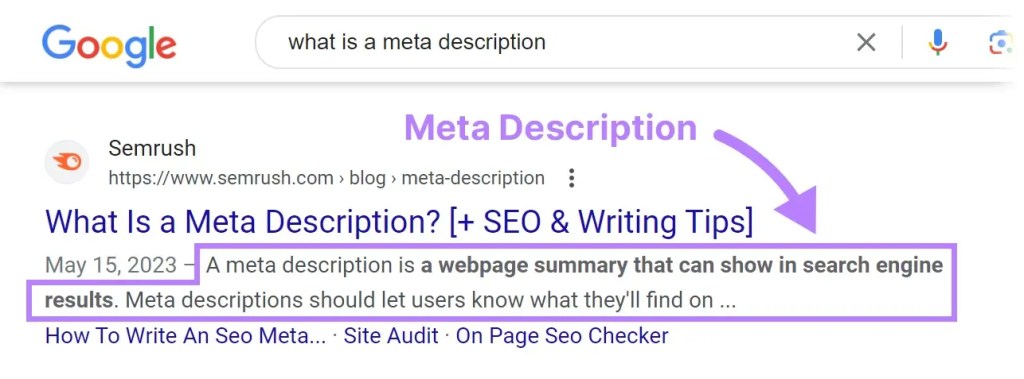 Meta tag Semrush Blog