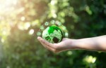 Why Zero-Waste Solutions Are Crucial for Urban Areas